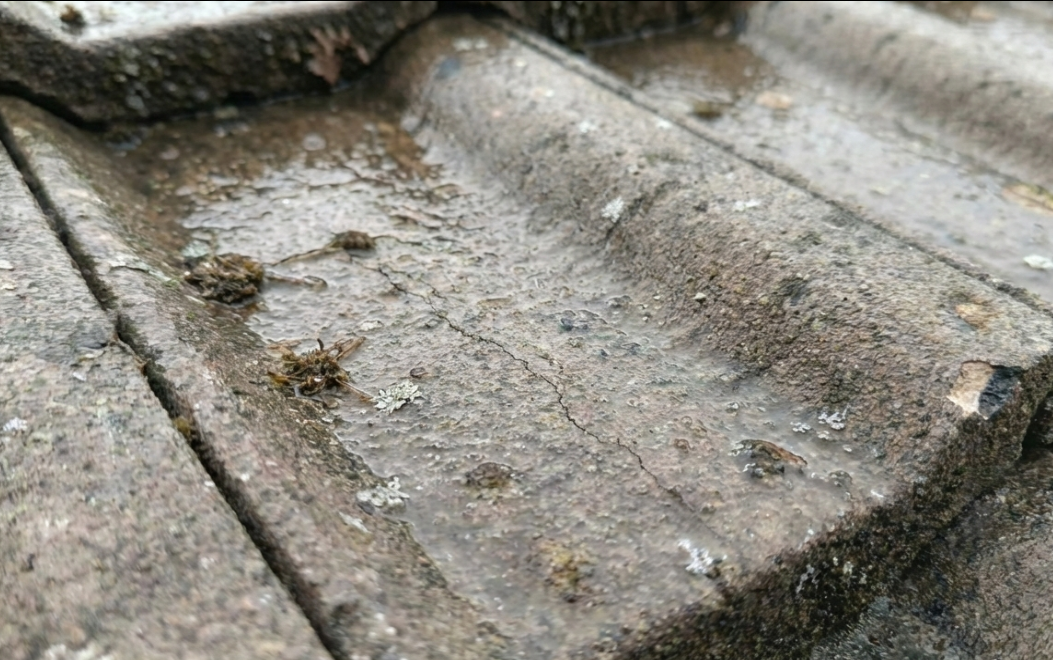 Close up of porous roof tiles retaining moisture